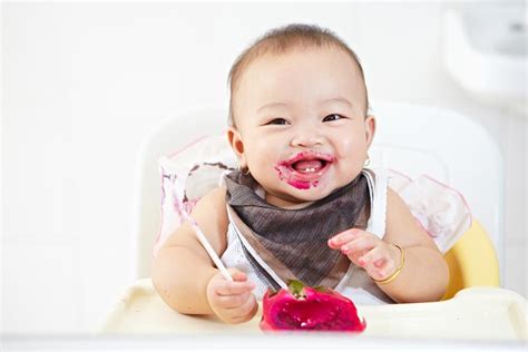 Protein adalah zat gizi yang sangat diperlukan oleh tubuh. Seawal Anak Mula Tumbuh Gigi, Bagi Makanan Sedikit Keras ...