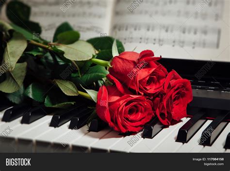 Red Roses On Piano Image And Photo Free Trial Bigstock