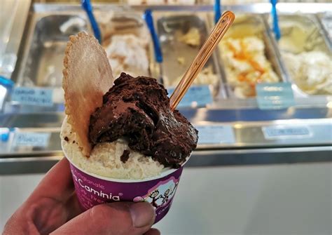 Best Gelato In Florence A Tour Guide S Favorites With Map