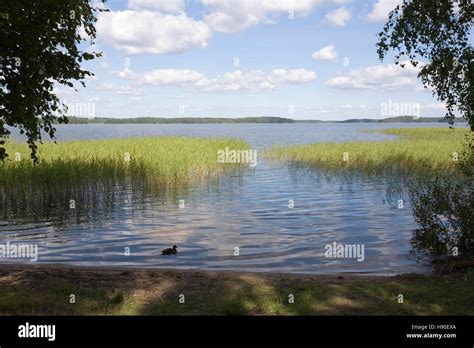 Lake Scenery Lappeenranta Finland Stock Photo Alamy