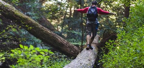 We offer free shipping on all products and personalized advice on any pest control problem. Hiking Trails in Anderson, Greenville, Pickens and Spartanburg Co. SC