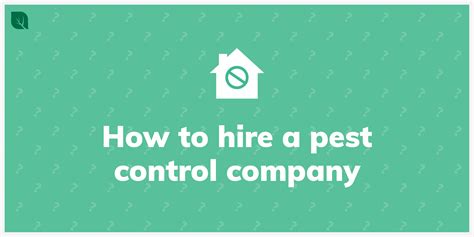 How To Hire A Pest Control Company Insight Pest Control
