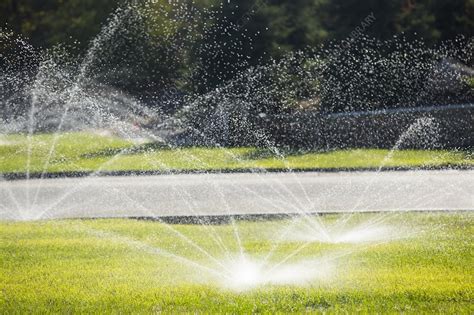 Watering Lawns During A Drought Stock Image C0245638 Science