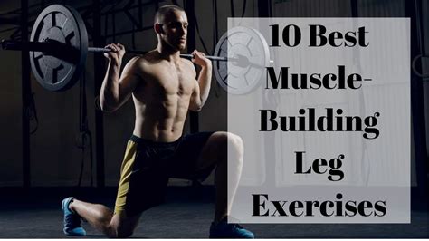 10 Best Muscle Building Leg Exercises Legs Gym Body And Workout How