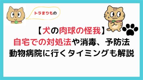 Download しつこい おしっこ臭 対処法 Images For Free