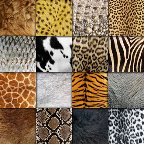 Animal Skin Textures Carta Digitale Sfondi Pelliccia Animale Etsy