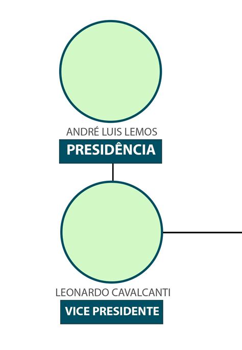 ORGANOGRAMA Axia Mineracao SA