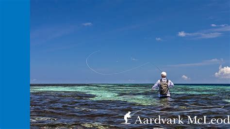 Top Ten Casting Techniques For Fly Fishing In Saltwater