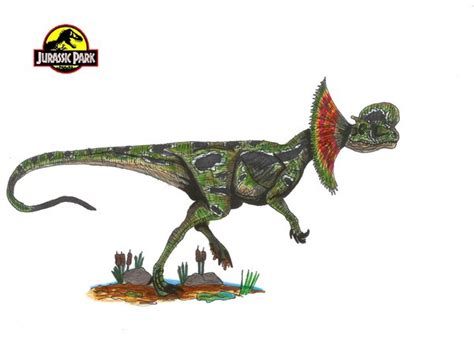 Image Jurassic Park Dilophosaurus By Hellraptor Jurassic Park Wiki Fandom Powered By Wikia