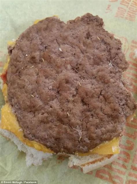 brisbane mother finds maggots in mcdonald s cheeseburger daily mail online