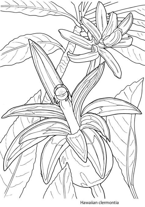 Exotic Flower Coloring Pages Allthenightt