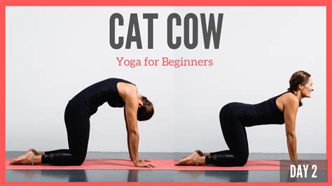 How To Do Cat Cow Yoga For Beginners Minute Yoga Youtube