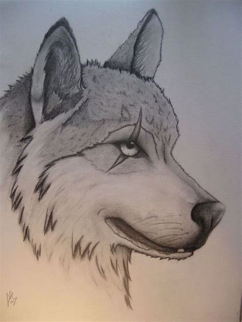 Things To Draw When Your Bored Wolf Eye Scar Black White Pencil Sketch