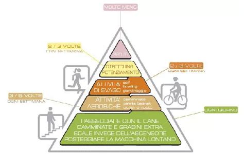 La Piramide Dellattività Fisica