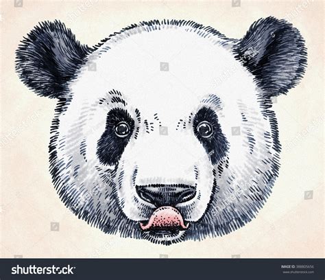 Engrave Ink Draw Panda Illustration Stock Illustration 388805656