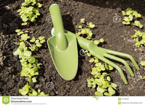 Schop En Gradle De Moestuin Van Tuinhulpmiddelen In De Jonge Spruiten