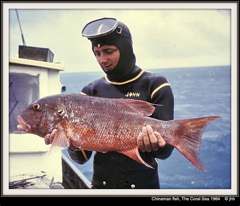 Australia 36 Beware Of Ciguatera Fish Toxin Warning