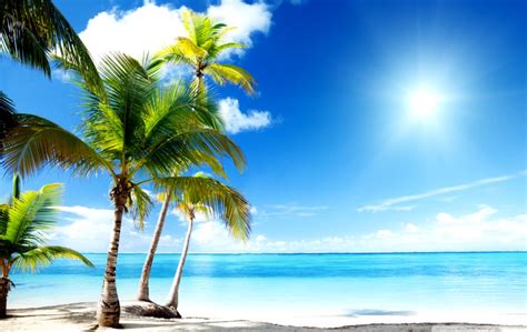 Tropical Beach Paradise 4k Hd Desktop Wallpaper For - Tropical Beach ...