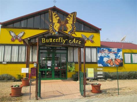 La casa delle farfalle di montegrotto è la prima costruita in italia, ai piedi dei colli euganei. entrata 1 - Picture of Casa delle Farfalle e Bosco delle ...