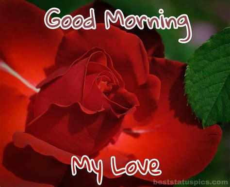 151 Good Morning Romantic Red Rose Images And Pics Best Status Pics