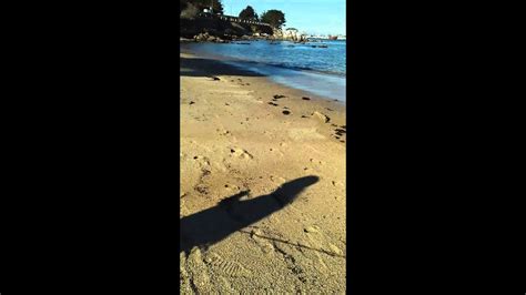 Nef Peeing On The Beach Youtube
