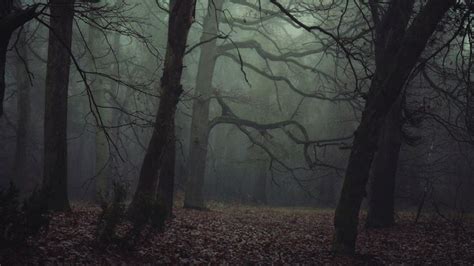 Sleepy Hollow Sleepy Hollow Forest Photography Legend Of Sleepy Hollow