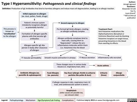 Type I Hypersensitivity Pathogenesis And Clinical Findings Calgary Guide