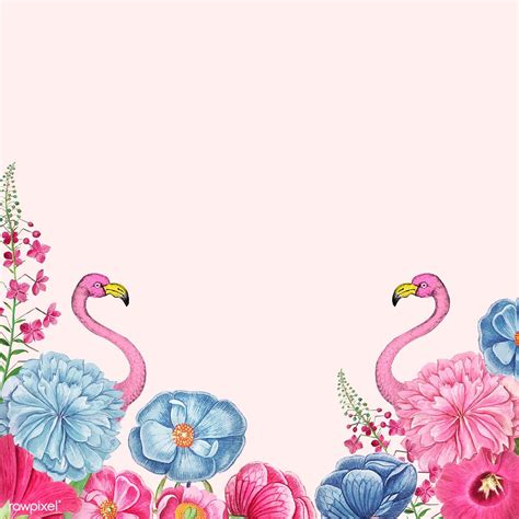 Vintage Flowers And Pink Flamingo Border Frame Vector Free Image By