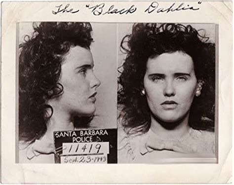 Black Dahlia Red Rose The Crime Corruption And Cover Up Of America