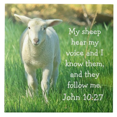 My Sheep Hear My Voice Bible Verse John 1027 Tile