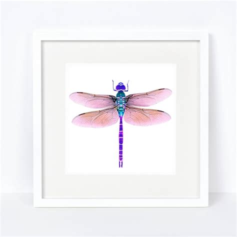 Dragonfly Art Print Etsy