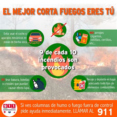 Llama Protección Civil A Prevenir Incendios Forestales Infonor Diario Digital