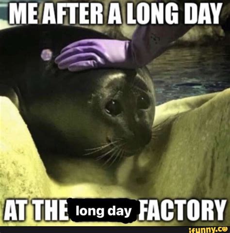me after a long day at the long day factory ifunny