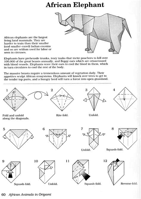 Go to next page to continue making the awesome cat! Origami Instructions Pdf - Jadwal Bus