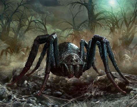 Charlotte Die Größte Spinne Der Welt Lebt In Australien