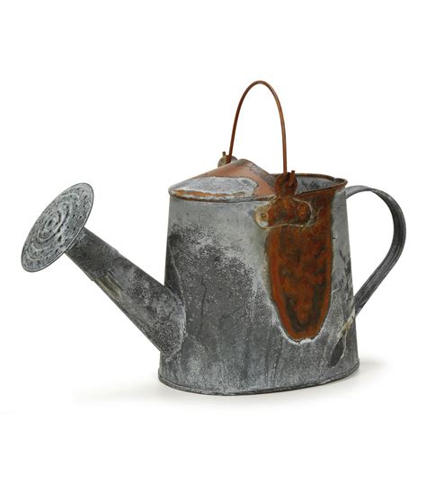 Watering Can Rusty Zinc at Joann.com | Watering can, Metal watering can, Container gardening