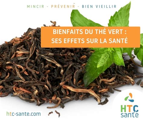 Bienfaits du thé vert Découvrez ses effets sur la Santé