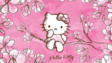 wallpaper  kitty pictures cute wallpapers