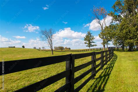 Green Pastures Of Horse Farms Country Landscape Stock Photo Adobe Stock
