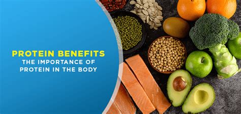 Protein Benefits The Importance Of Protein In The Body Fitpass