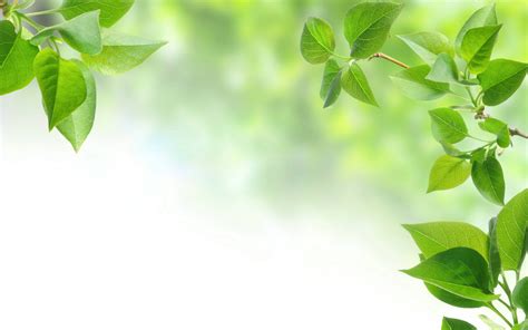 Download hd wallpapers for free on unsplash. Spring Background Pics - Wallpaper Cave