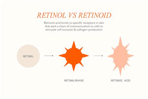Retinol Vs Retinoid Whats The Difference Dr Dennis Gross
