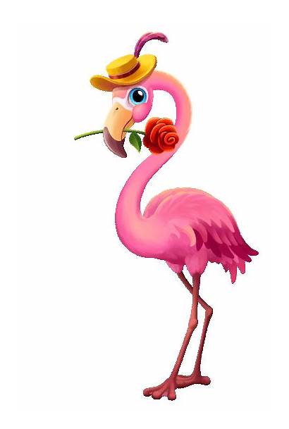 Animation Flamingo Zoo Story Katherine Character Behance
