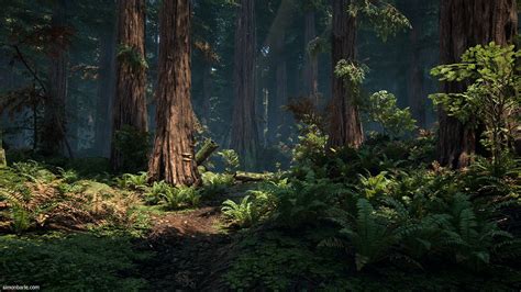 Redwood Forest Ue4 Simon Barle Fantasy Landscape Unreal Engine Forest