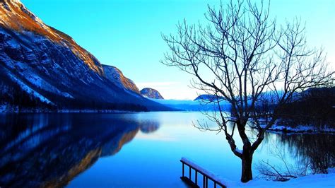 Mountains Landscapes Nature Lone Tree Natural Scenery Pure Blue