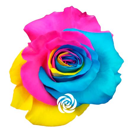 Ver más ideas sobre aprender los colores, educacion infantil, colores preescolares. Rosas Tinturadas | Todo tipo de colores - Luz of Roses