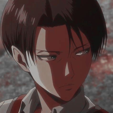 Aesthetic Attack On Titan Pfp - 2021 Hange aot aesthetic pfp :
