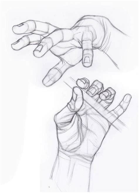 Study By Stefanolanza Art Reference Sketches Hand Sketch