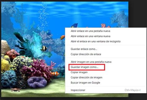 Como Poner Fondos De Pantalla En Movimiento Para Pc