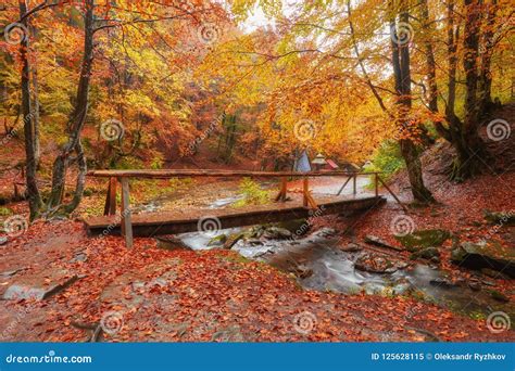 Wooden Bridge Over Brook In Autumn Stock Image Image Of Flowing